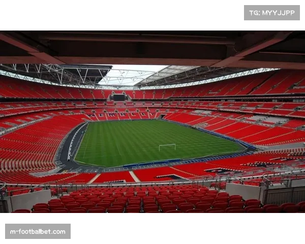 欧冠淘汰赛阶段门票开售 球迷热情高涨一票难求 欧冠淘汰赛阶段门票开售 球迷热情高涨一票难求